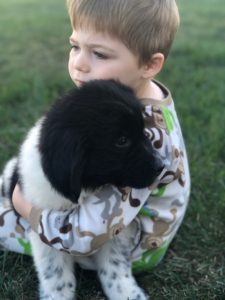 Newfoundland puppy and a young boy