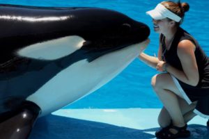 A killer whale and her beautiful trainer