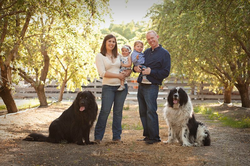 The Wags This Way family of dog trainers